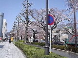 ȂƂȂ