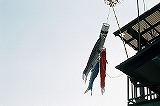 NbNŊg\